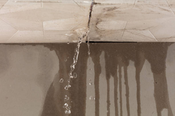 Professional Water Damage Inspection technician working in Penelope, TX